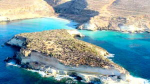 lampedusa isola conigli