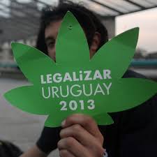 uruguay-si-alla-legalizzazione-della-marijuana