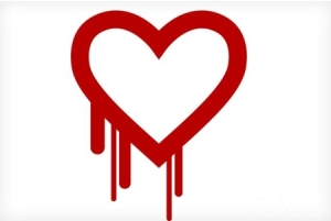 heartbleed