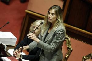 Boschi senato