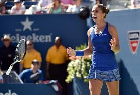 errani-open-2014