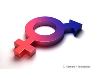 teoria del gender