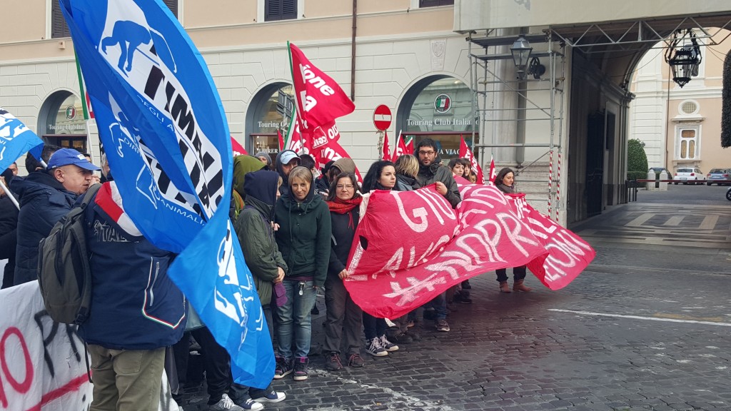 manifestazione canili