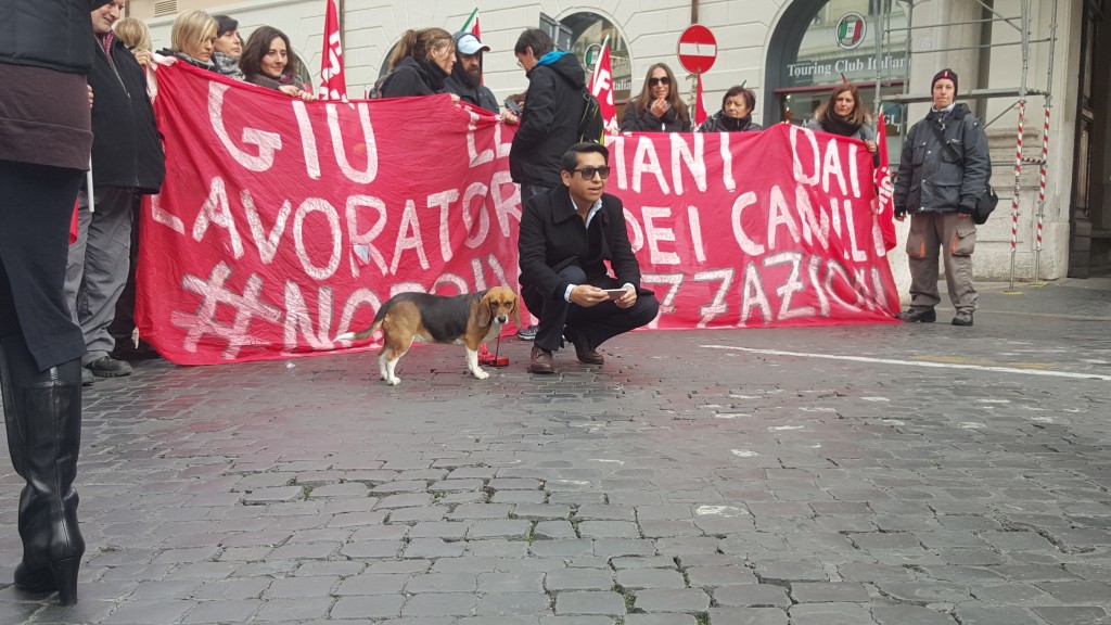 manifestazione canili