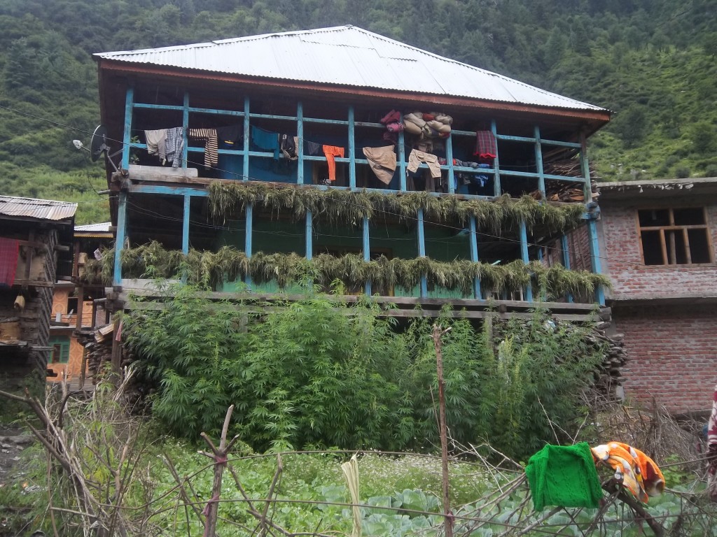 Malana