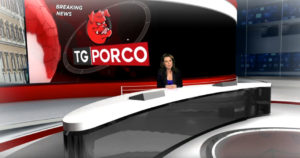 tg porco