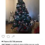 alberi di natale vip