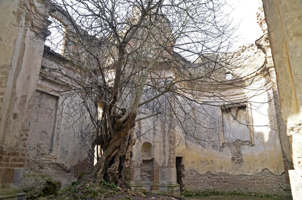 Monterano e il ruggito del leone