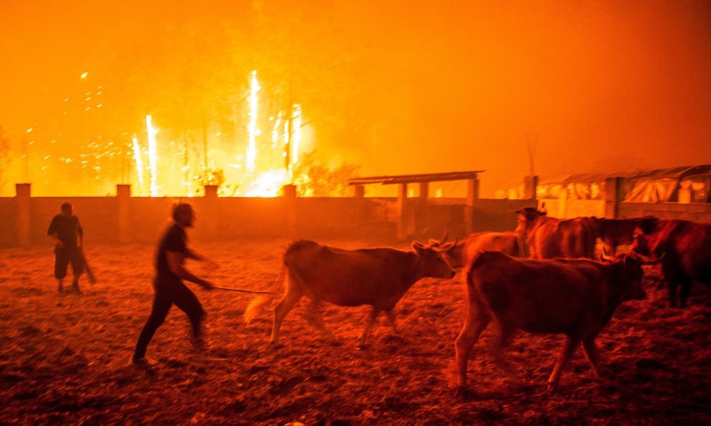 Incendi devastano Spagna e Portogallo