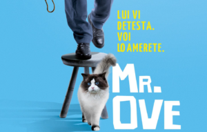 mr ove