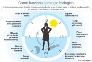 nobel per la medicina 2017