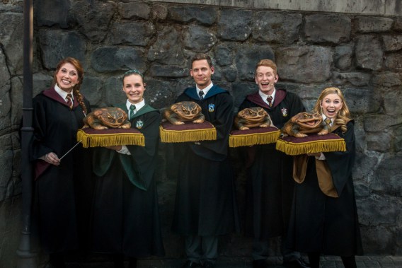 Natale ad Hogwarts