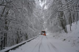 nevica sulle alpi