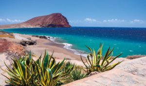 Canarie