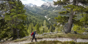 Hiker on path looking at mountain range through trees, Dolomites, Italy