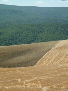 Tricolore di Lucania