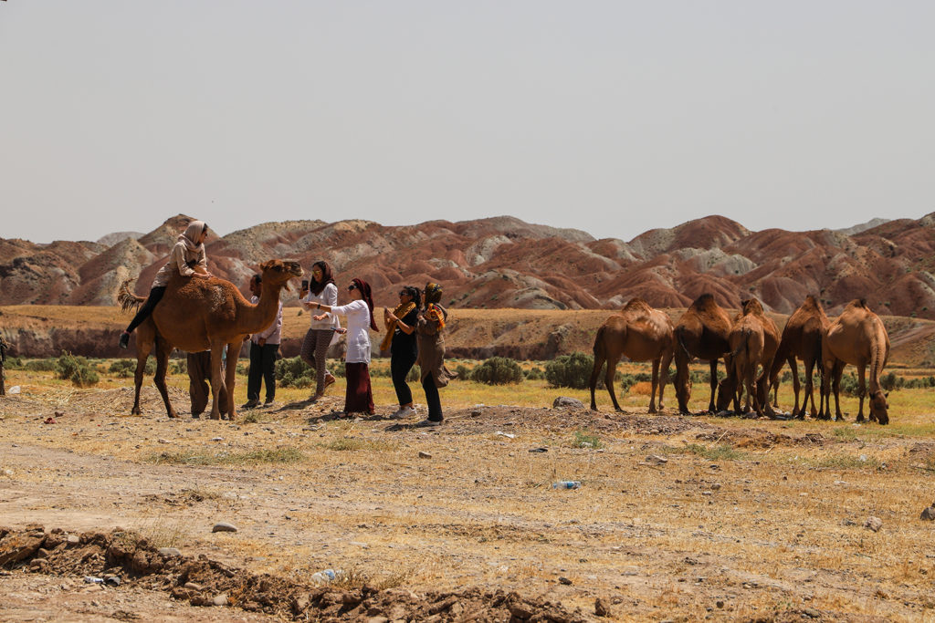 mongol rally