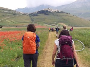 Castelluccio