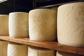 pecorino